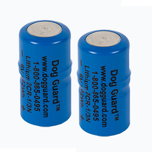 Lithium Battery