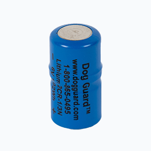 Lithium Battery